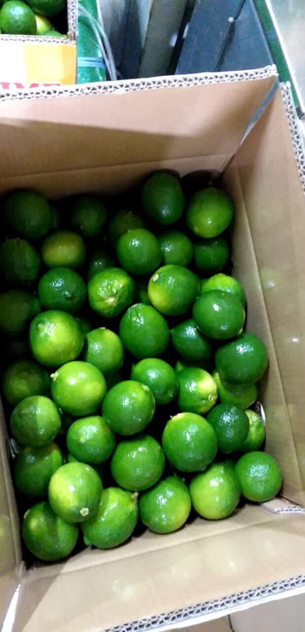 100-Natural-Lime-6.jpg