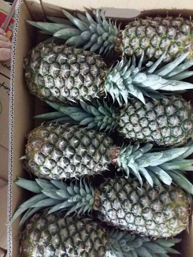 Bulk-Fresh-Pineapples-8.jpg