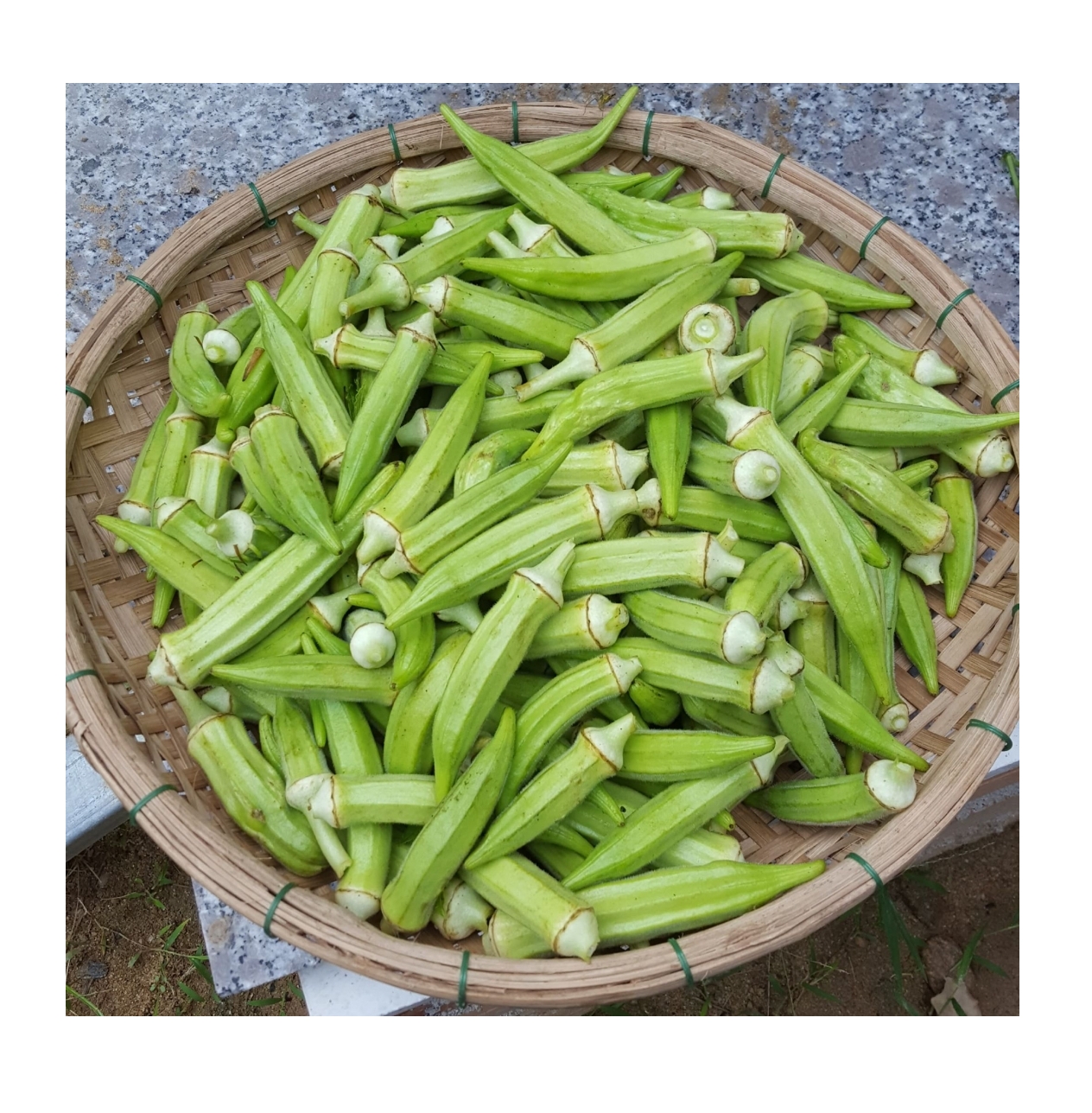 Fresh-Vegetable-Okra-100-2.jpg