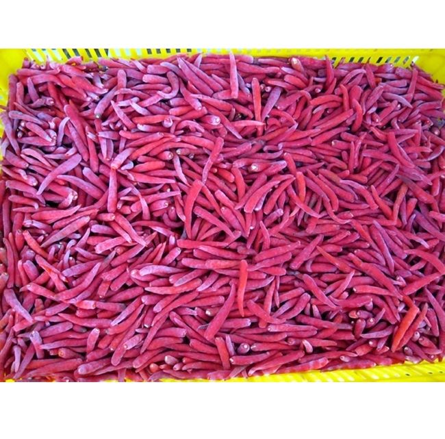 Wholesale-Frozen-Celestial-chili-100-Natural-Celestial-chili-made-in-Viet-Nam-3.jpg